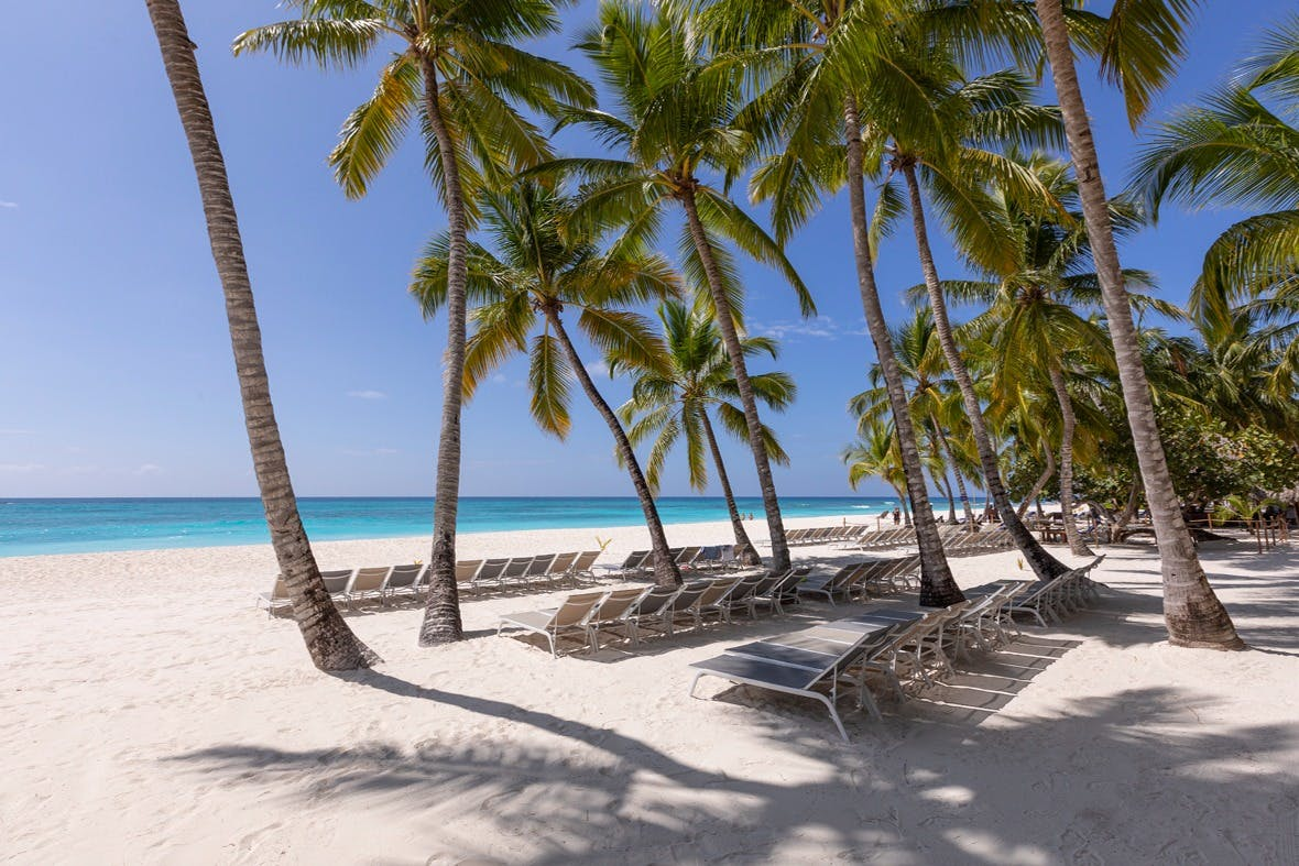 Isla Saona: VIP Semi-Submarine Tour - Photo 1 of 3